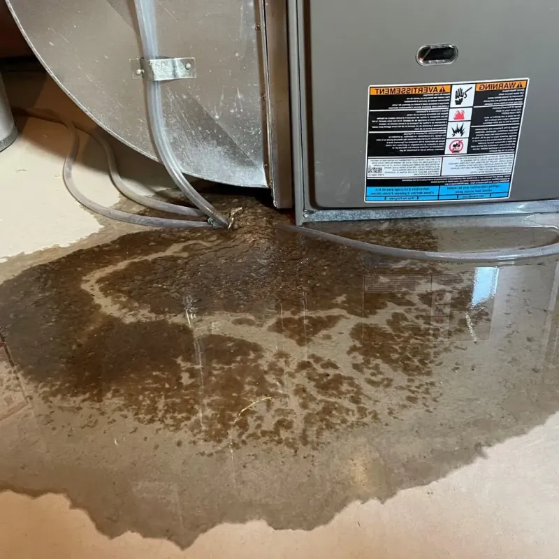 Pipe Burst and Leak Restoration in King Cove, AK