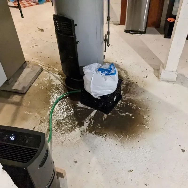 Sewage Backup Cleanup Service in King Cove, AK
